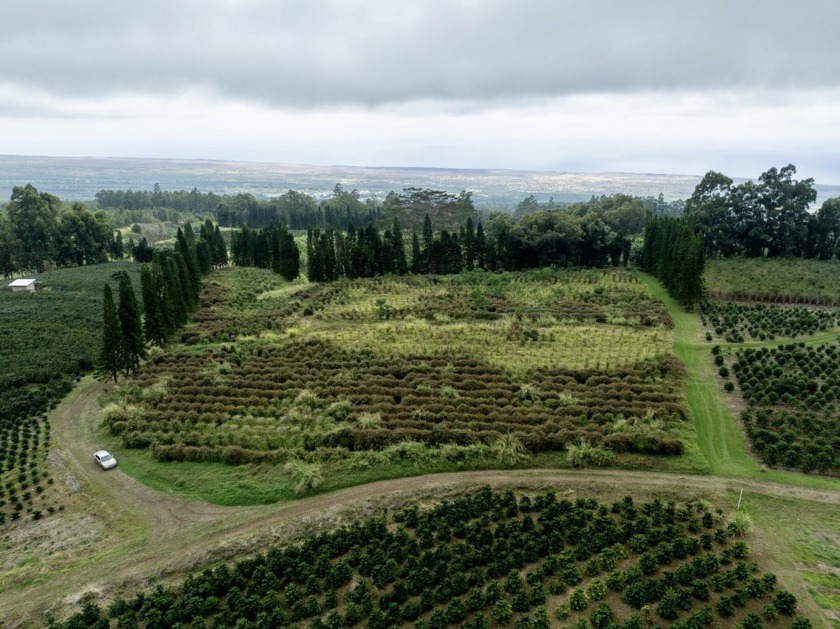 Great Opportunity to purchase a smaller coffee farm which has - Beach Acreage for sale in Pahala, Hawaii on Beachhouse.com