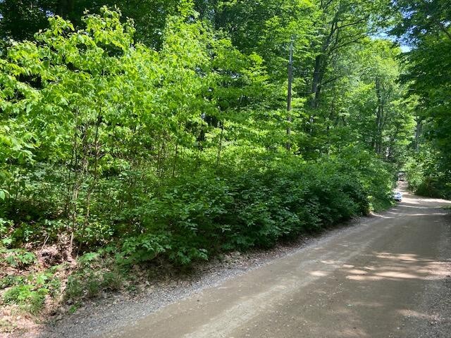 Beautiful buildable 2 lots as 1 building site in desirable gated - Beach Lot for sale in Covert, Michigan on Beachhouse.com