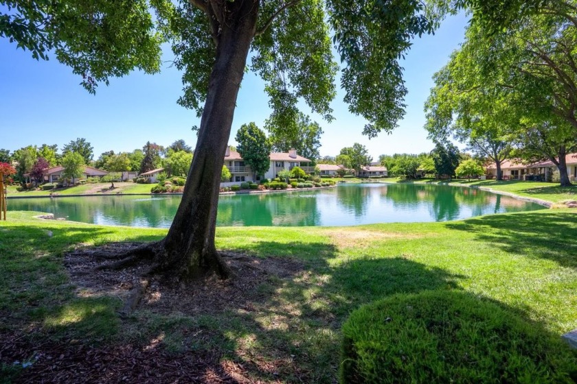Enjoy peaceful lakeside living in this beautifully updated condo - Beach Condo for sale in San Jose, California on Beachhouse.com