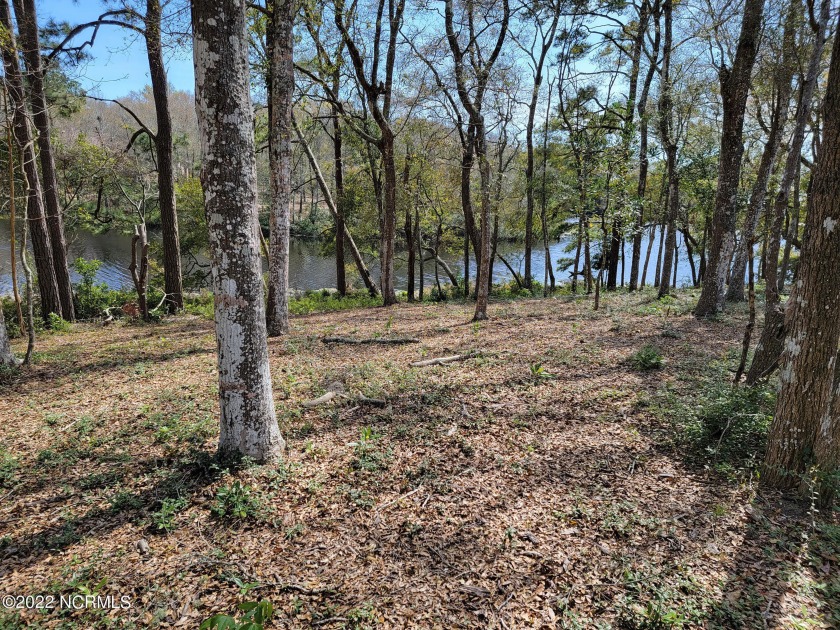 If you've been looking for a larger than average homesite in a - Beach Lot for sale in Supply, North Carolina on Beachhouse.com