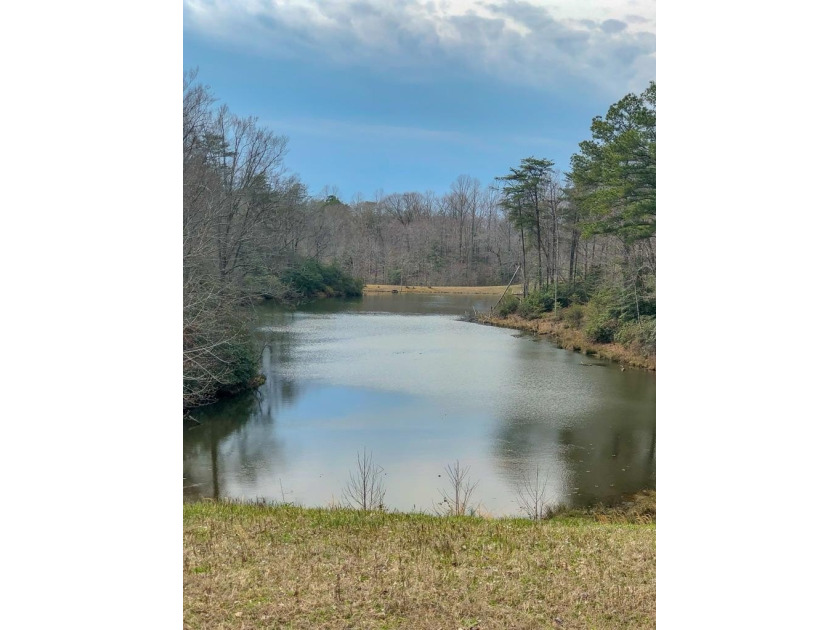 Seller Financing Available! Wooded property on Deep Lake in - Beach Lot for sale in Heathsville, Virginia on Beachhouse.com