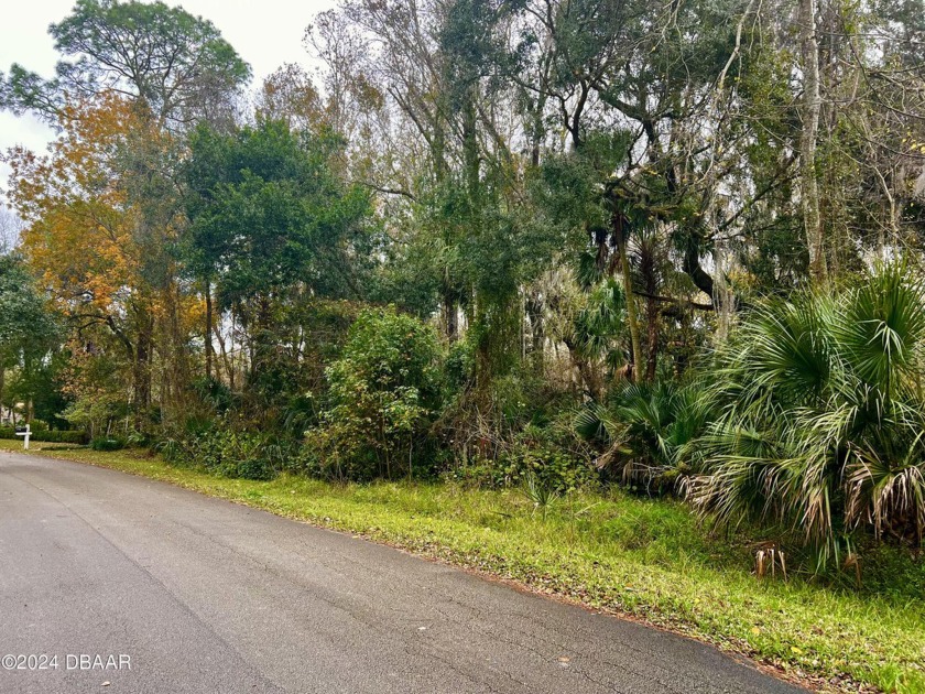 Highly sought after Large Wooded Riverfront lot with 2.34 Acres - Beach Acreage for sale in Ormond Beach, Florida on Beachhouse.com