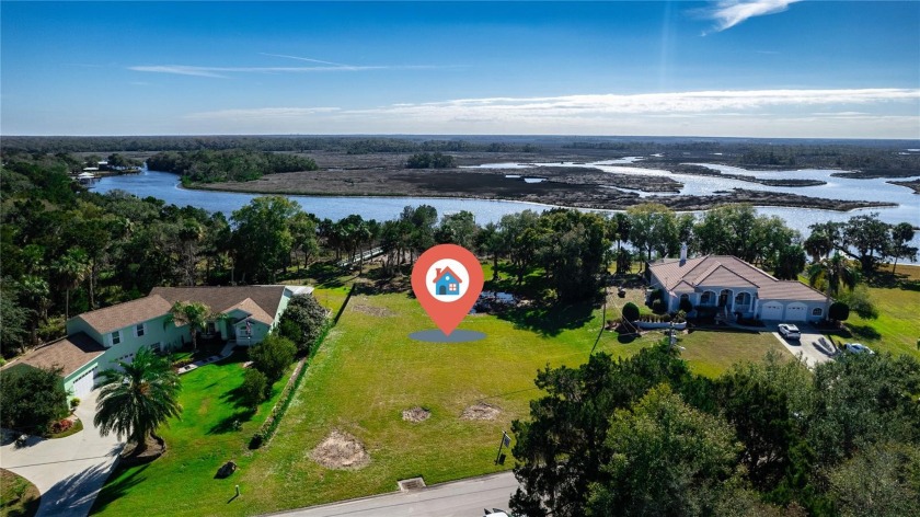 Lot has expansive views. When you are at this lot, you feel like - Beach Lot for sale in Homosassa, Florida on Beachhouse.com