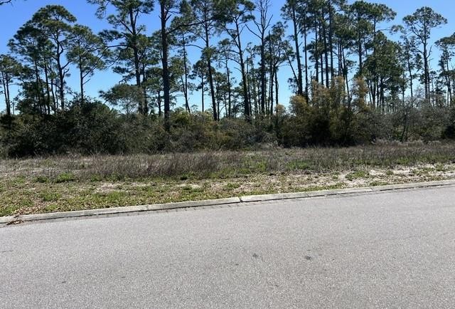 Perfect lot near the beach and surrounded by the wonderful - Beach Lot for sale in Port St Joe, Florida on Beachhouse.com