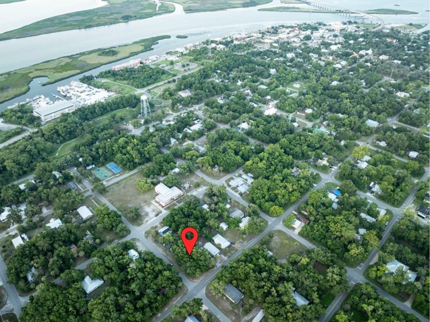 Discover the perfect canvas for your dream home in the heart of - Beach Lot for sale in Apalachicola, Florida on Beachhouse.com