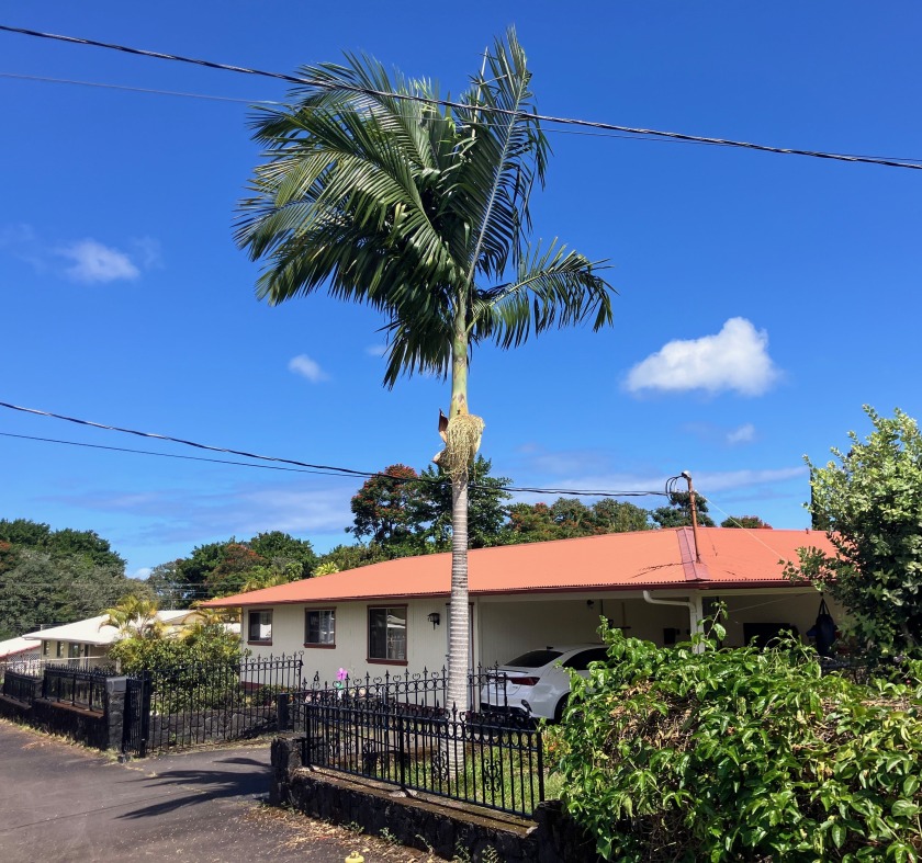 This is a wonderful opportunity to own a large family home that - Beach Home for sale in Hilo, Hawaii on Beachhouse.com