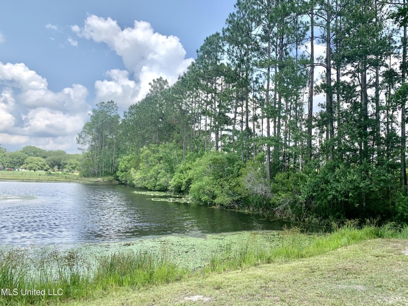 3.48 ACRES - EAST CENTRAL / HURLEY !   BUILD YOUR DREAM HOME - Beach Lot for sale in Moss Point, Mississippi on Beachhouse.com