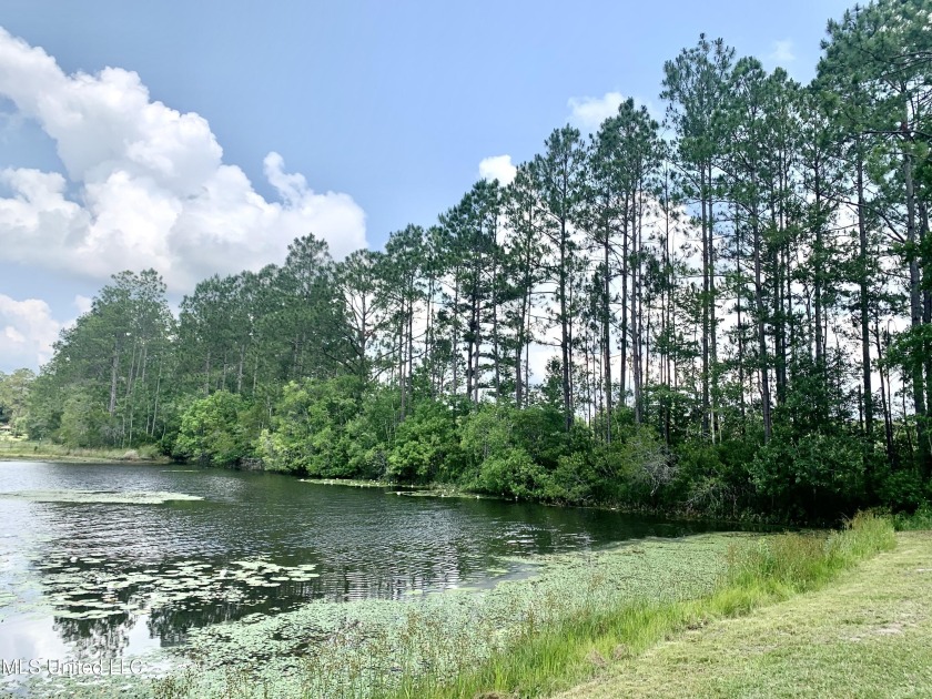 3.48 ACRES - EAST CENTRAL / HURLEY !   BUILD YOUR DREAM HOME - Beach Acreage for sale in Moss Point, Mississippi on Beachhouse.com