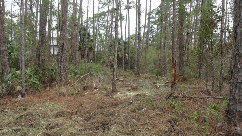 Located on the south side of East Pine Ave.  Property provides - Beach Lot for sale in St. George Island, Florida on Beachhouse.com