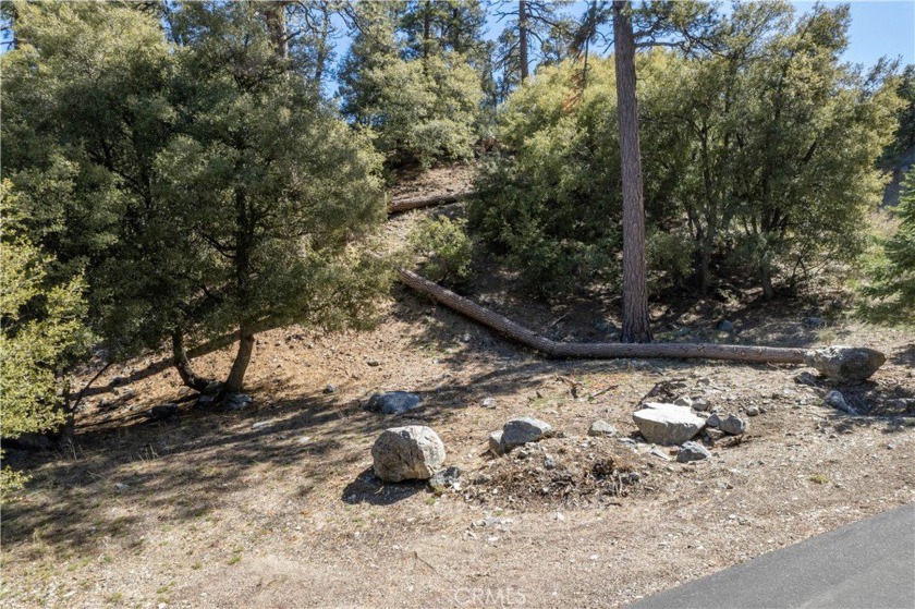 Welcome to the one-of-a-kind, four-season community of Pine - Beach Lot for sale in Pine Mountain Club, California on Beachhouse.com