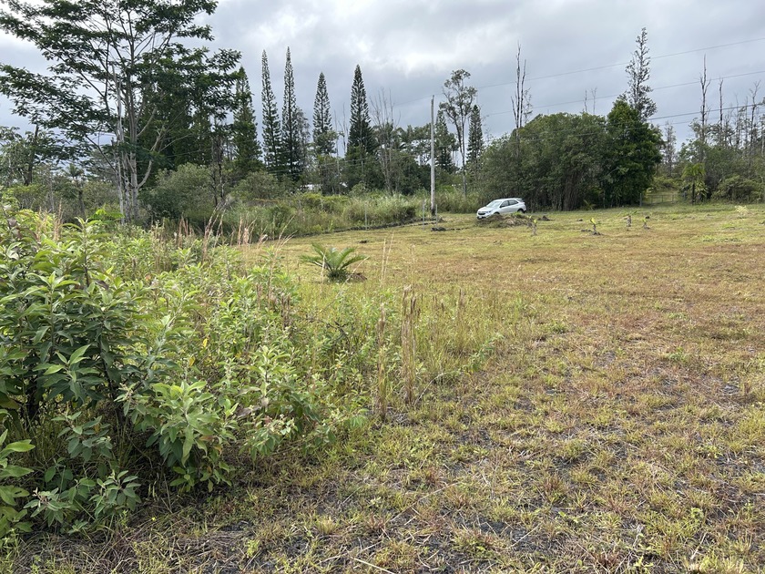 2 cleared acres for only $128,000! See past the weeds that have - Beach Acreage for sale in Kurtistown, Hawaii on Beachhouse.com