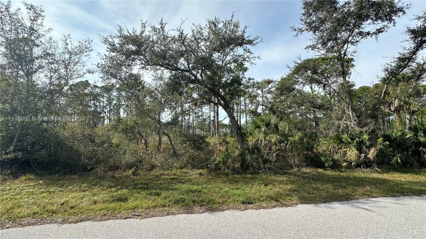 I have an incredible opportunity for you! Imagine living in a - Beach Lot for sale in Port Charlotte, Florida on Beachhouse.com