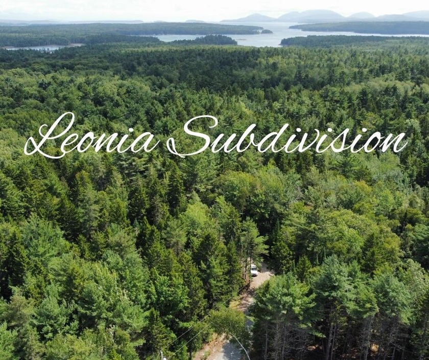 These individual subdivision lots are what you've been waiting - Beach Lot for sale in Hancock, Maine on Beachhouse.com