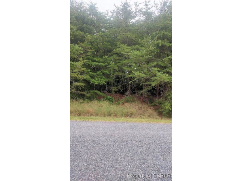 Deltaville - waterfront site on Bush Creek of 1.25 acres, wooded - Beach Lot for sale in Deltaville, Virginia on Beachhouse.com