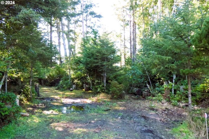 1+ acre property nestled in a tranquil and quiet area just - Beach Lot for sale in Bandon, Oregon on Beachhouse.com