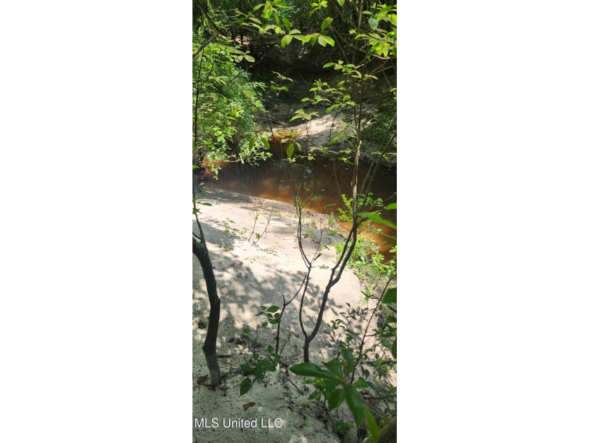 14.93 Acres of Scenic Land with Trails, Creek & Development - Beach Acreage for sale in Biloxi, Mississippi on Beachhouse.com