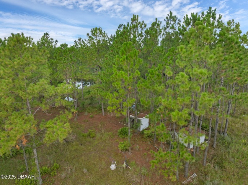 Discover your private slice of paradise at 60 Natalies Lane in - Beach Acreage for sale in Ormond Beach, Florida on Beachhouse.com