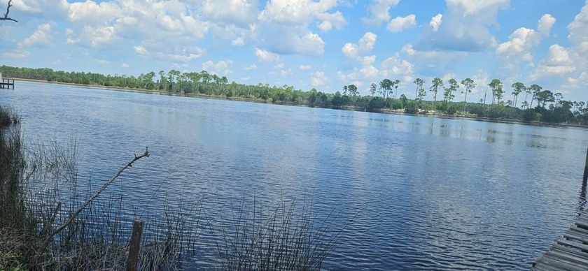 IF YOU are looking for seclusion on the river then this is for - Beach Home for sale in Carabelle, Florida on Beachhouse.com