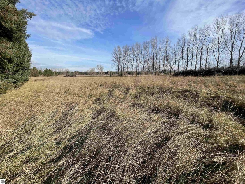 Beautiful open 57.06 acres of vacant land with gentle rolling - Beach Acreage for sale in Maple City, Michigan on Beachhouse.com