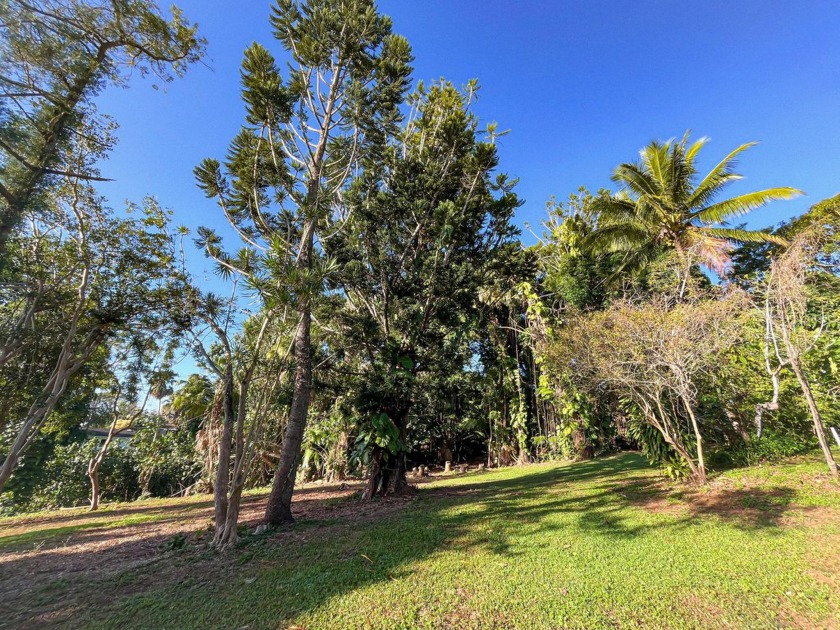 Wailua Oasis - Unit 1 - Build your dream residence on this - Beach Lot for sale in Kapaa, Hawaii on Beachhouse.com