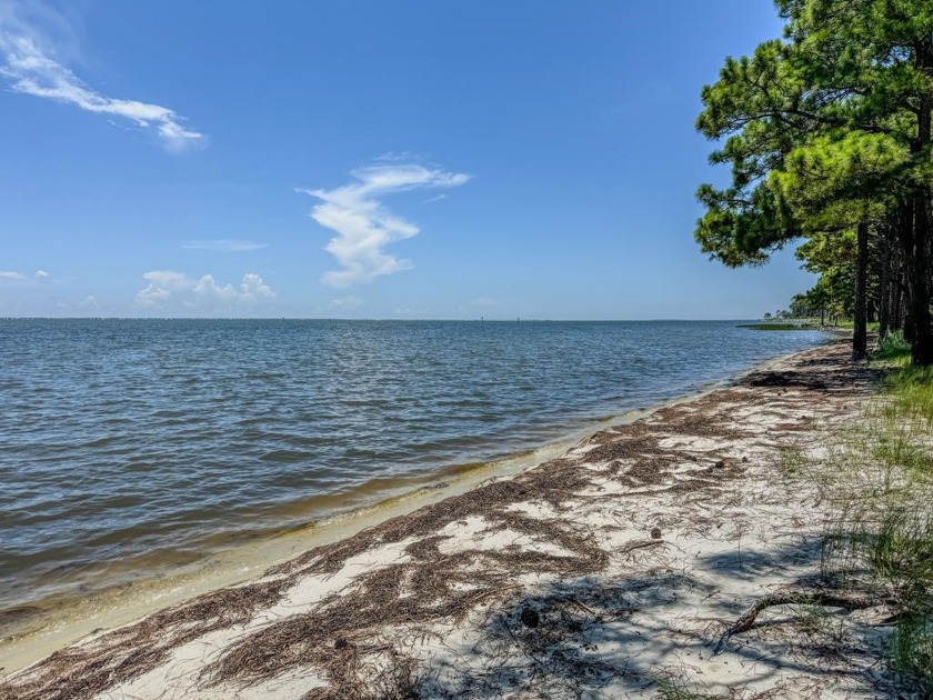 1.29 acres of wooded property with 102 feet of bay frontage for - Beach Lot for sale in Eastpoint, Florida on Beachhouse.com