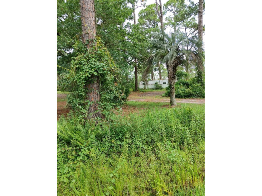 Two adjoining parcels are available: one is 0.34 acres and the - Beach Lot for sale in Carabelle, Florida on Beachhouse.com