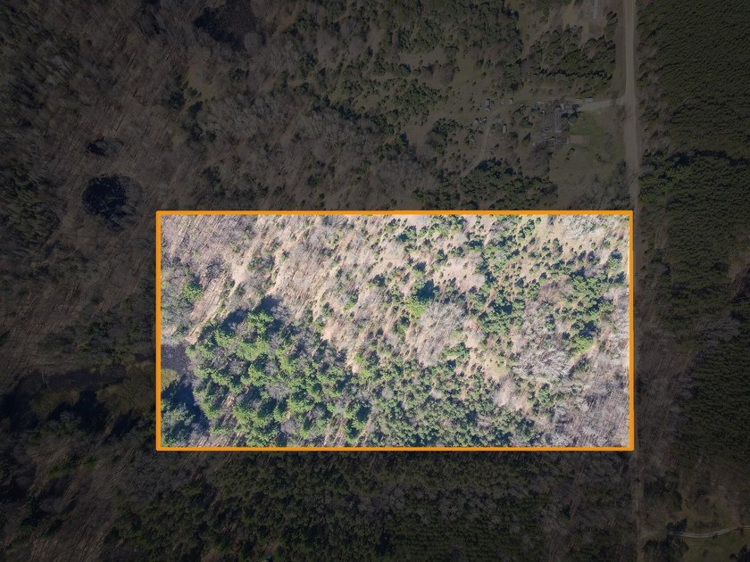 Rare opportunity to own a hard-to-find 20-acre parcel in Oceana - Beach Acreage for sale in Shelby, Michigan on Beachhouse.com