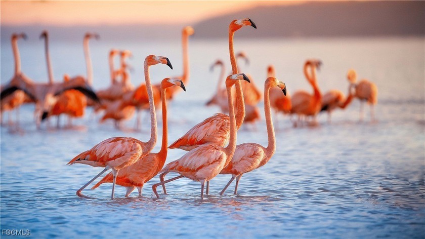 The best of Southwest Florida awaits you in this beautiful pool - Beach Home for sale in North Fort Myers, Florida on Beachhouse.com