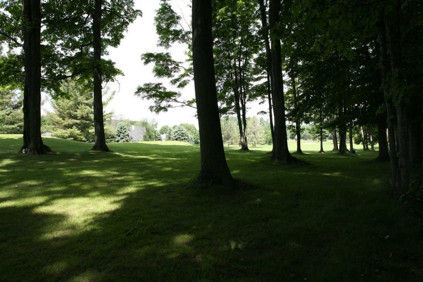 Beautiful building site located on the golf course - Beach Lot for sale in Harbor Springs, Michigan on Beachhouse.com