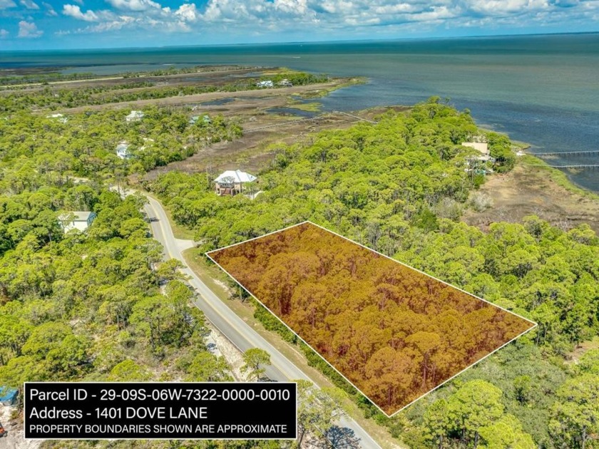 Beautiful interior lot in gated St George Island Plantation - Beach Lot for sale in St. George Island, Florida on Beachhouse.com