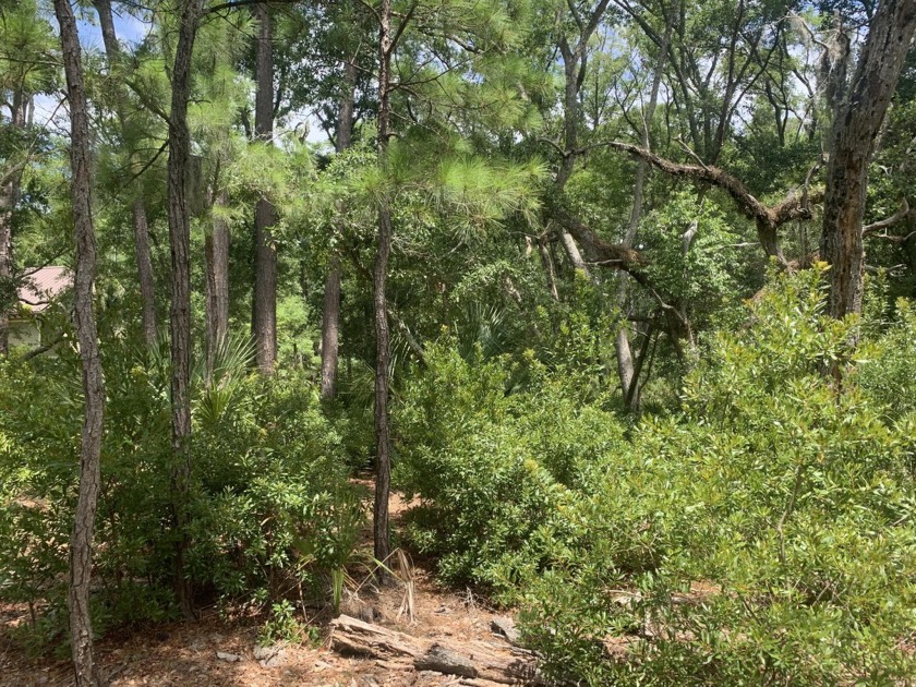 Discover this marshfront homesite in the desirable Fishing Creek - Beach Lot for sale in Edisto Island, South Carolina on Beachhouse.com