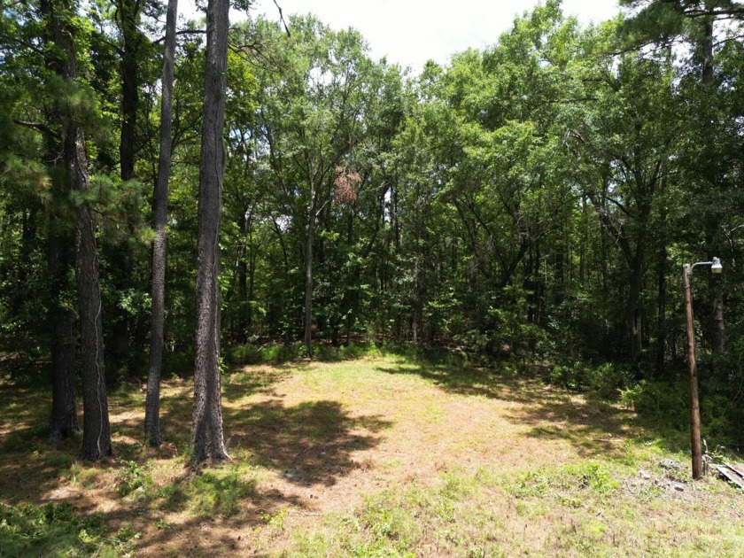 Welcome to a great cleared lot to build your dream home or place - Beach Lot for sale in Hollywood, South Carolina on Beachhouse.com