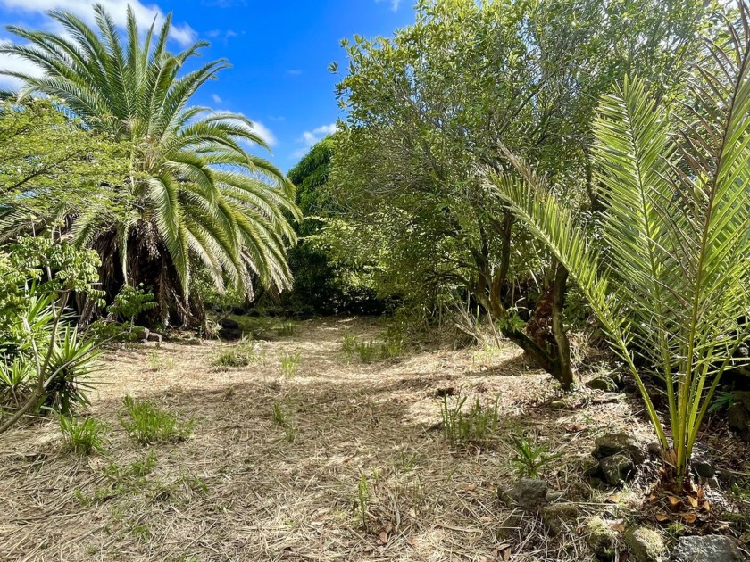 **Seller Financing Available* * A Rare Tropical Food Forest in - Beach Lot for sale in Naalehu, Hawaii on Beachhouse.com