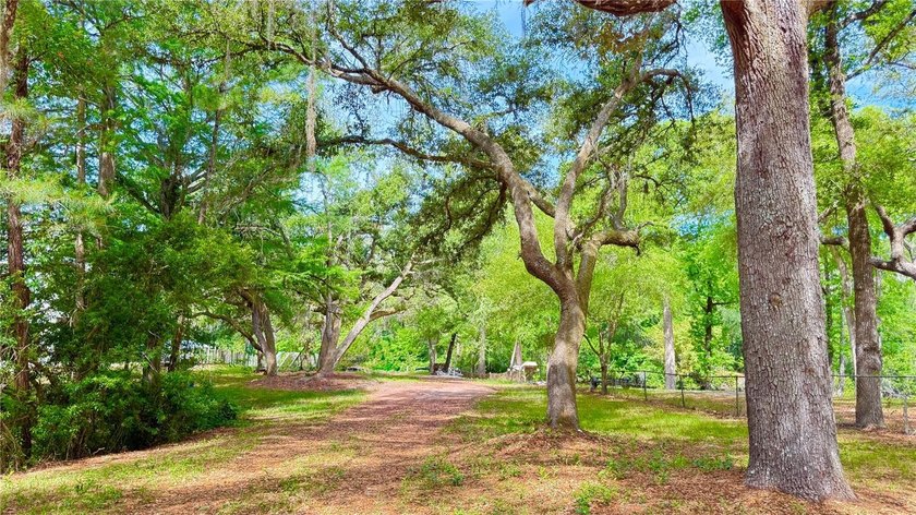 Check out this *Diamond In the Rough*. As you drive to this - Beach Lot for sale in Middleburg, Florida on Beachhouse.com