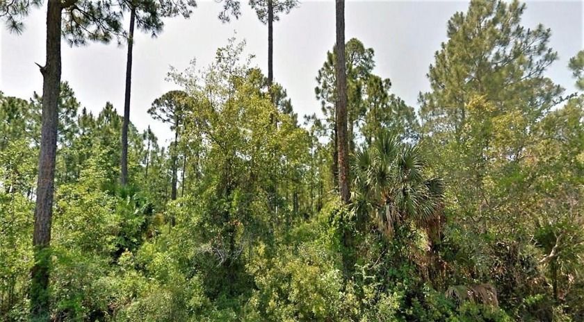 A beautiful vista awaits you with your choice of several lots - Beach Lot for sale in Port St Joe, Florida on Beachhouse.com