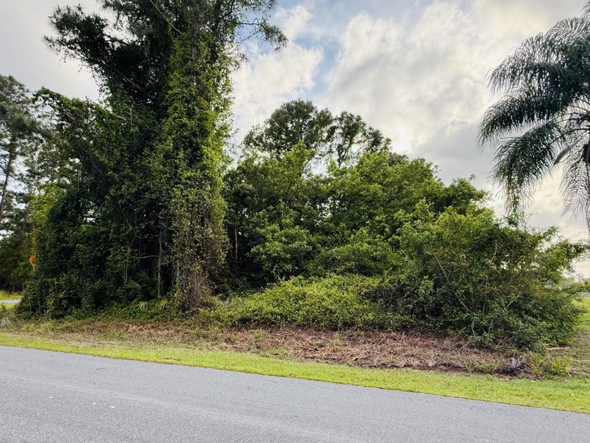 Location! Location!! Location!!! Imagine building your dream - Beach Lot for sale in Palm Bay, Florida on Beachhouse.com