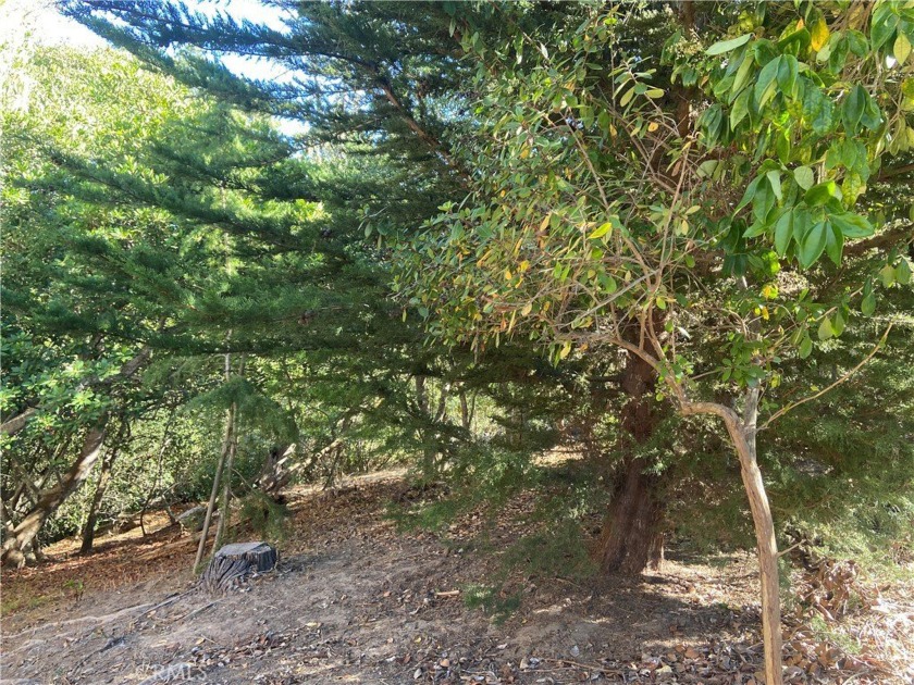 7,000 + sq ft oversized lot that offers privacy as it looks over - Beach Lot for sale in Cambria, California on Beachhouse.com