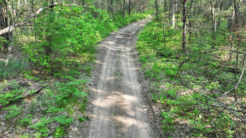 This 10-acre recreational parcel stands apart with a rare - Beach Acreage for sale in Free Soil, Michigan on Beachhouse.com
