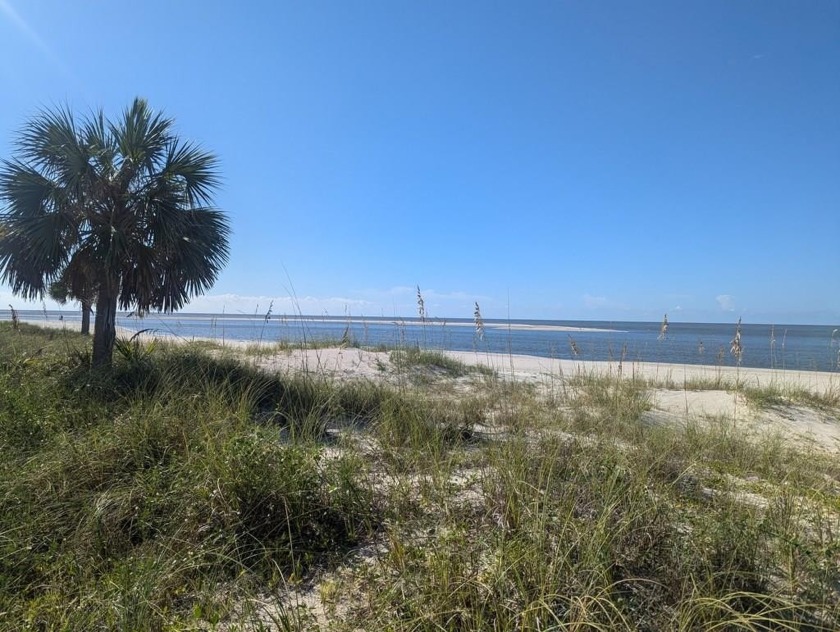 Discover your dream investment opportunity with this 50 foot - Beach Lot for sale in Port St Joe, Florida on Beachhouse.com