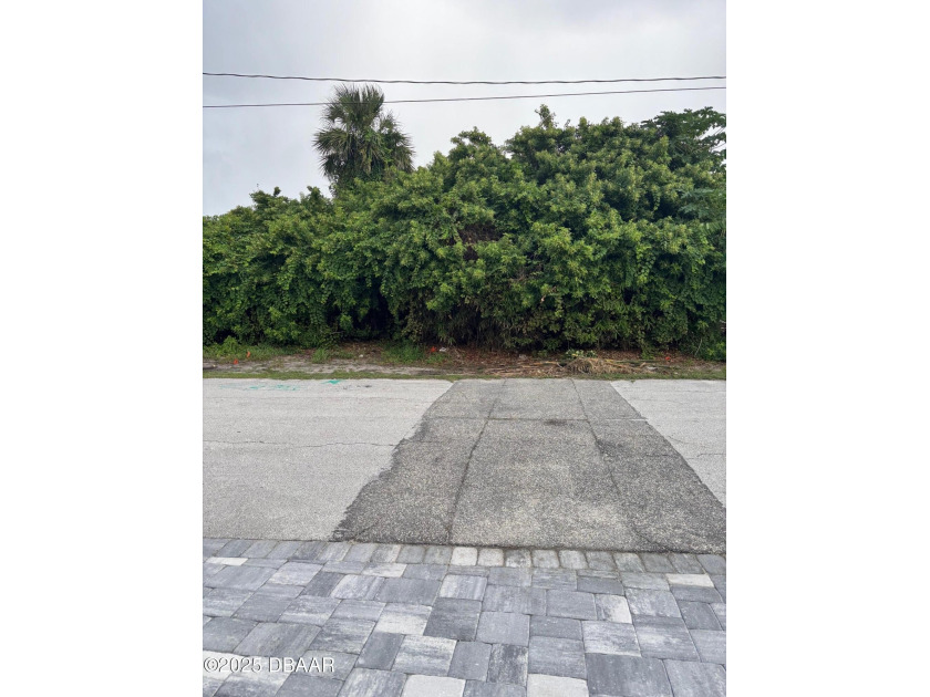 Don't miss this rare opportunity to own a buildable lot in the - Beach Lot for sale in Ponce Inlet, Florida on Beachhouse.com