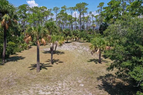 St. George Island Bay View homesite prepped and ready for you to - Beach Lot for sale in St. George Island, Florida on Beachhouse.com