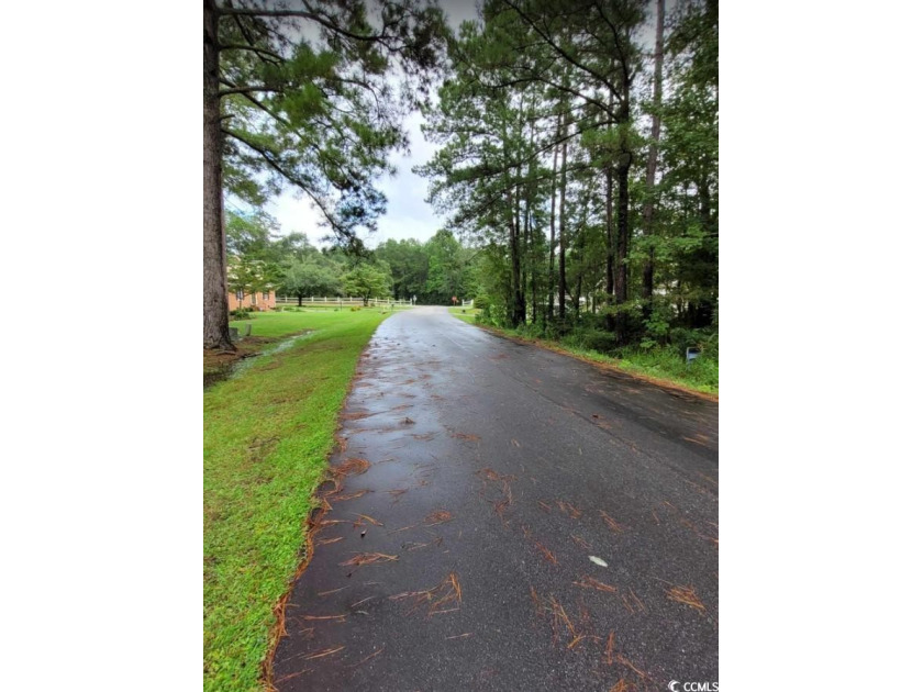 Discover Your Slice of Southern Paradise: Prime Buildable Lot in - Beach Lot for sale in Georgetown, South Carolina on Beachhouse.com