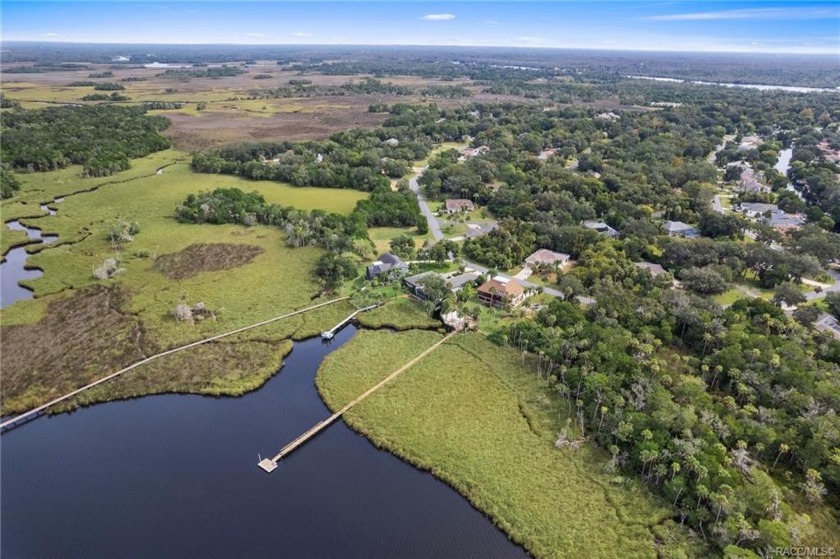 Are you ready to have your socks knocked off?  The minute you - Beach Home for sale in Homosassa, Florida on Beachhouse.com