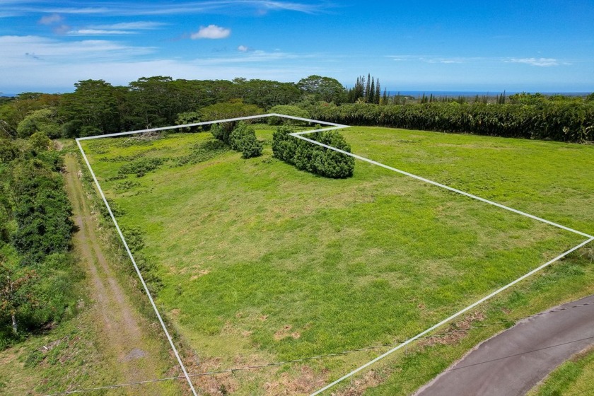 Now available: 5+ acres of rolling hills just above Kamehameha - Beach Acreage for sale in Kurtistown, Hawaii on Beachhouse.com