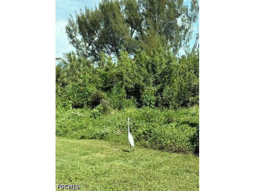 Don't miss this exceptional opportunity to build your dream home - Beach Lot for sale in Sanibel, Florida on Beachhouse.com