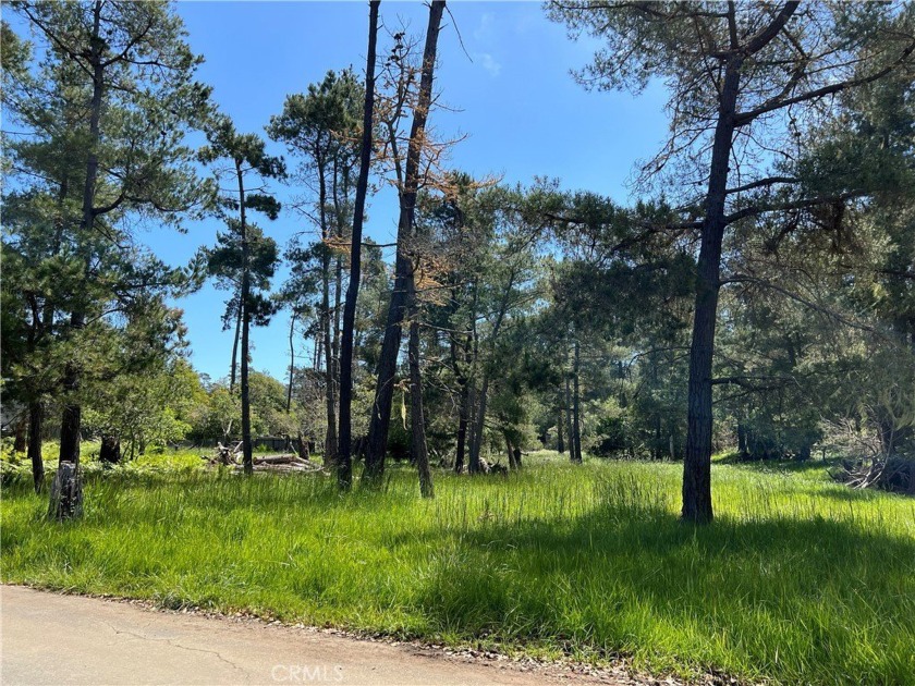 Three Separate Parcels being sold together! Kenneth Dr (100' x - Beach Lot for sale in Cambria, California on Beachhouse.com