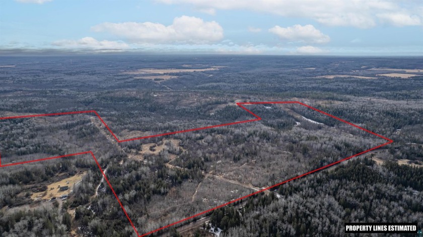 Prime 180-acre Hunting  Recreational Paradise in Northwestern - Beach Acreage for sale in Superior, Wisconsin on Beachhouse.com