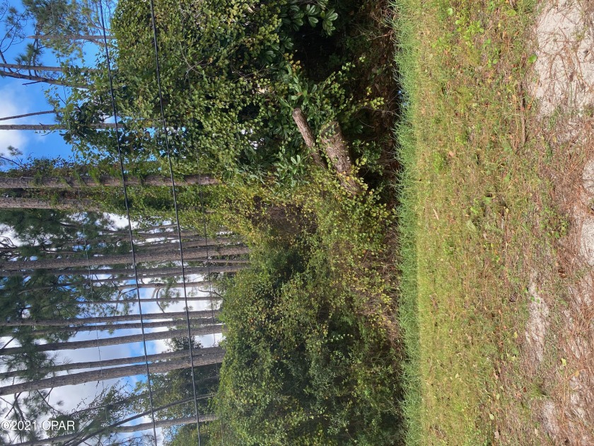 Build your dream home on this vacant lot with mature trees. The - Beach Lot for sale in Panama City Beach, Florida on Beachhouse.com