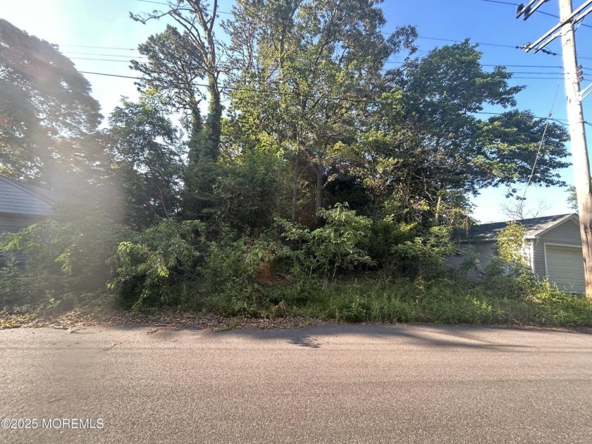 This vacant lot is located in Bayville bordering Ocean Gate - Beach Lot for sale in Bayville, New Jersey on Beachhouse.com