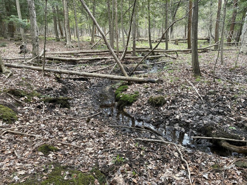 A beautiful 2.7 acre wooded parcel. The property has a variety - Beach Acreage for sale in Shelby, Michigan on Beachhouse.com